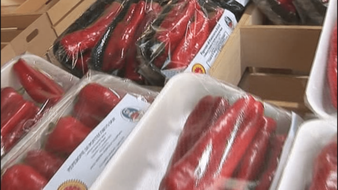PONTECORVO: RILANCIARE LA PRODUZIONE DEL PEPERONE