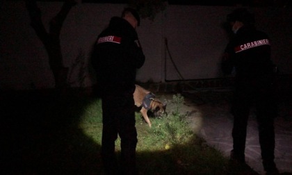 ROMA: COCAINA E CRACK, 14 ARRESTI