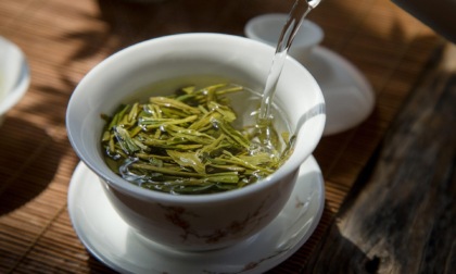 Cina: al via raccolta di famoso tè Longjing nello Zhejiang