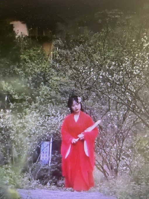 Fiori primaverili attirano turisti nei villaggi cinesi