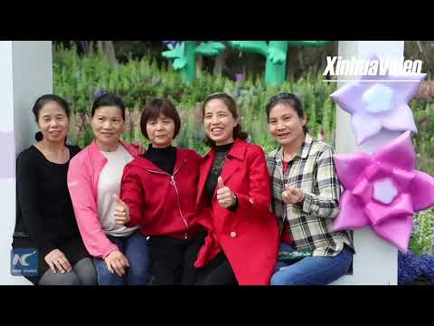 Cina: a Shenzhen fiorisce Greater Bay Area Flower Show