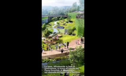 Cina: base di Pechino ospiterà 50 panda giganti nel 2025