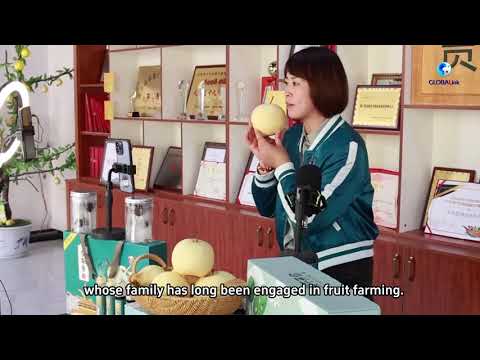 Cina: più giovani tornano in campagna per rafforzare rivitalizzazione rurale