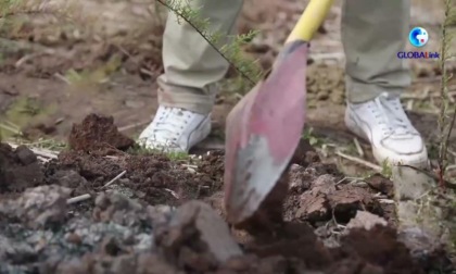 Cina: reintroduce piante rare, a rischio nell’area del bacino Tre Gole