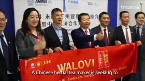 Marchio cinese di tè alle erbe punta a espandersi nel mercato internazionale