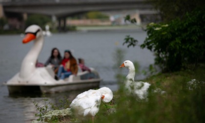 Italia: turisti durante le vacanze di Pasqua a Roma