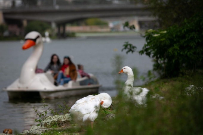 Italia: turisti durante le vacanze di Pasqua a Roma