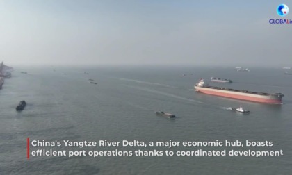Strategia sviluppo coordinato aumenta efficienza porti nel delta dello Yangtze