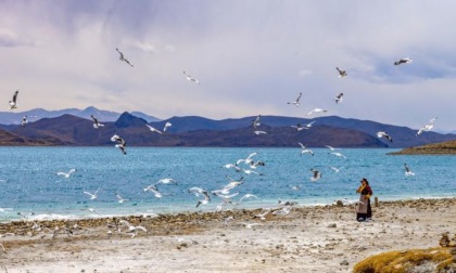 Cina: panorama del lago Yamzbog Yumco nello Xizang