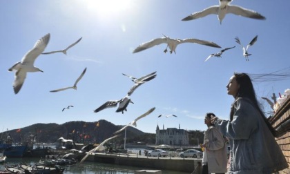 Cina: inaugura iniziativa per promuovere consumi culturali, turistici