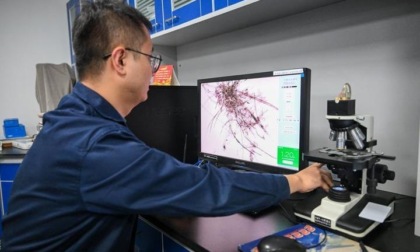 Cina: esperti “curano” libri antichi a Tianjin (2)