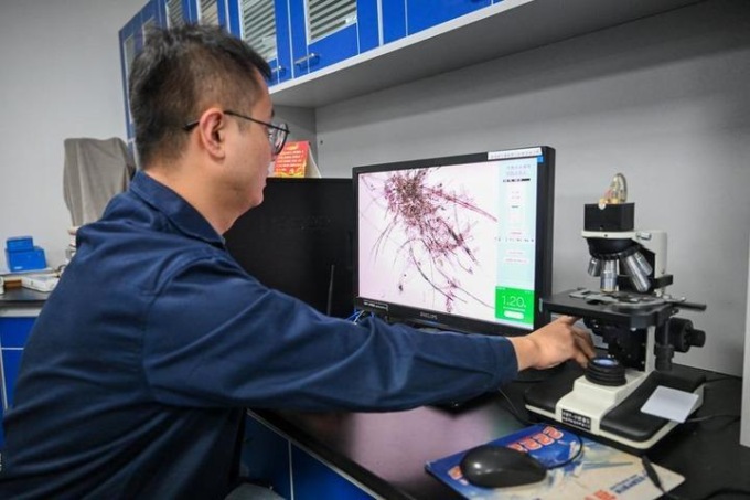 Cina: esperti “curano” libri antichi a Tianjin (2)