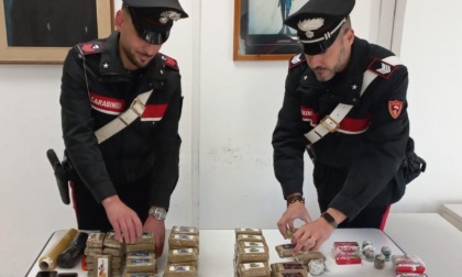 ARDEA: 11 CHILI DI DROGA IN CANTINA, ARRESTATO