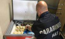 ROMA/FROSINONE: B&B IRREGOLARI, I CONTROLLI DEL NAS