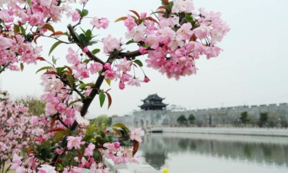 Cina: la primavera arriva nell’Anhui