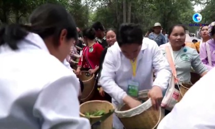 Cina: al via stagione primaverile di raccolta del tè su monte Jingmai