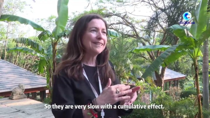 Cina: esperti lodano sforzi per conservare paesaggio culturale di foreste di tè