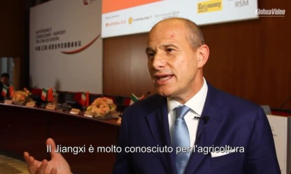 Cina-Italia: industrie del mobile mirano a creare nuovo ponte di cooperazione