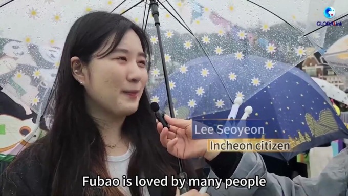 Corea del Sud: panda gigante Fu Bao lascia il Paese per tornare in Cina