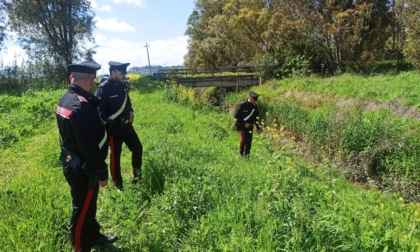 ROMA: TESCHIO IN UN CANALE A PONTE GALERIA, INDAGINI IN CORSO