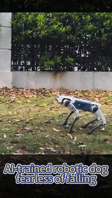 Cina: cane robot addestrato dall’IA che non può cadere