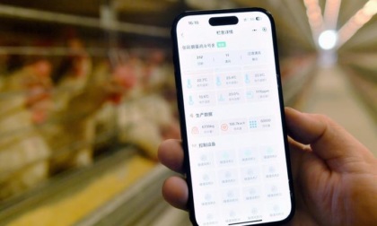 Cina: spedizioni smartphone raggiungono 69,3 mln unità nel Q1