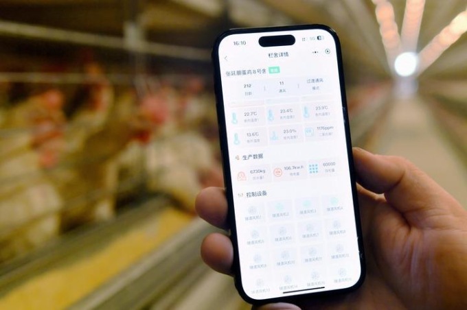 Cina: spedizioni smartphone raggiungono 69,3 mln unità nel Q1