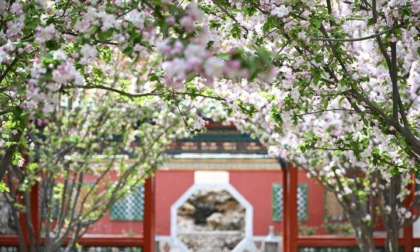 Cina: Museo del Palazzo firma accordo per migliorare l’accessibilità