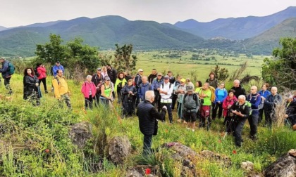 FALVATERRA: LA VIA DEI CIPPI NELLE TERRE DI CONFINE