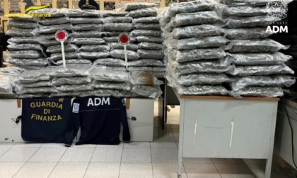 CIVITAVECCHIA: TRAFFICO DI DROGA, ARRESTATO CAMIONISTA