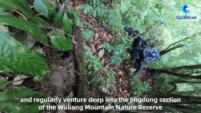 Cina: “guardiani dei gibboni” nelle foreste dello Yunnan