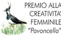 SABAUDIA: PRESENTATO IL PREMIO PAVONCELLA