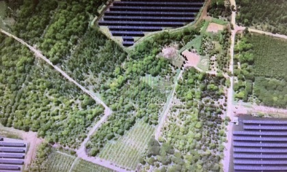 Cina-UE: partenariato nell’energia verde guida sviluppo sostenibile