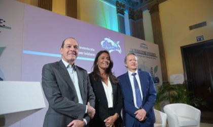 Studio Engie-Polimi: “Investire sull’efficienza energetica, rinnovabili e biometano per raggiungere gli obiettivi al 2030”