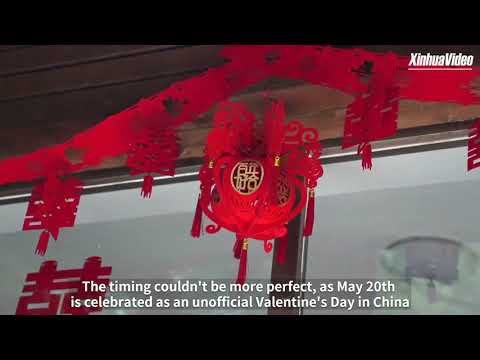 Cina: Changchun, elefante percorre 3.000 chilometri per amore