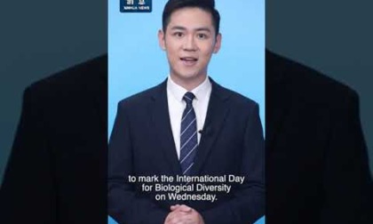 Cina: sta formulando piano per migliorare conservazione biodiversità