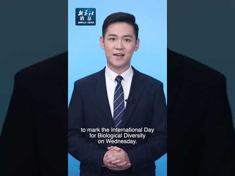 Cina: sta formulando piano per migliorare conservazione biodiversità