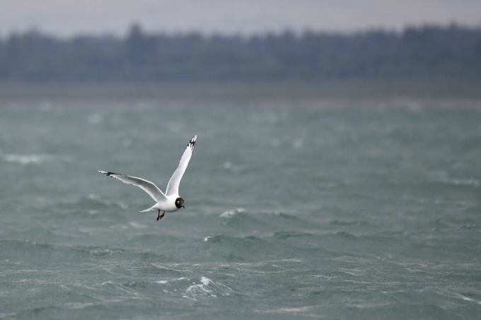 Mare e laghi del Lazio, acque promosse da Arpa