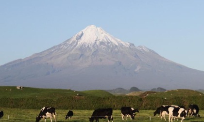 Cina-Nuova Zelanda: Ceo Fonterra Greater China, legami avvantaggiano imprese, consumatori