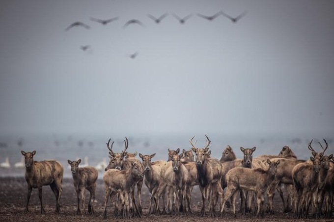 Cina-Francia: creano rete internazionale di ricerca su biodiversità