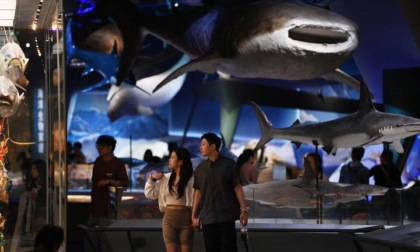 Cina: persone visitano il Museo marittimo nazionale a Tianjin (1)