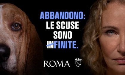 ROMA: ABBANDONO ANIMALI, LA CAMPAGNA