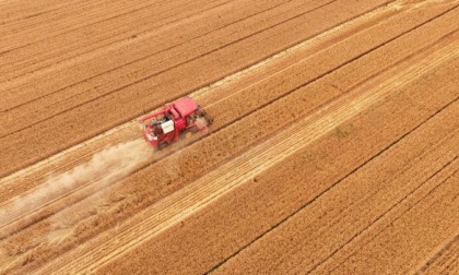 Agricoltura, l'intelligenza artificiale per combattere la siccità