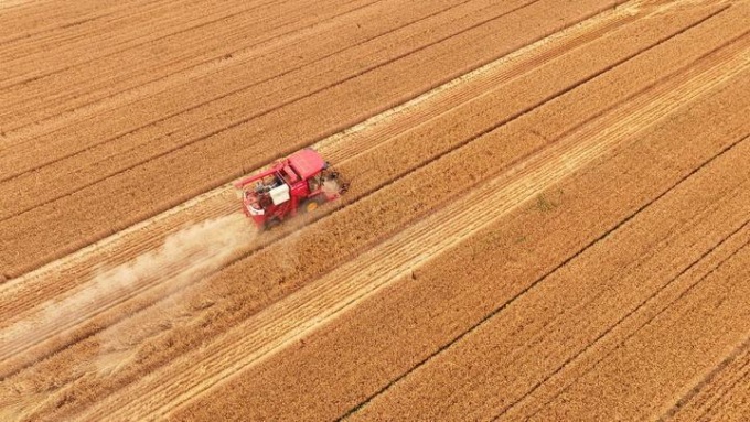Agricoltura, l’intelligenza artificiale per combattere la siccità