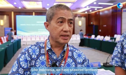 Cina: incontro evidenzia cooperazione su alghe tra Paesi asiatici