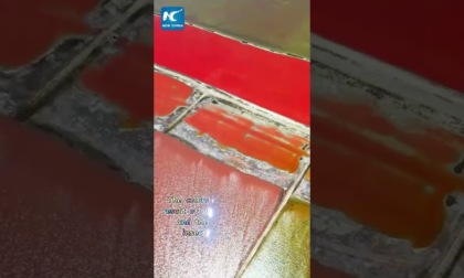 Cina: scopriamo il colorato lago salato di Yuncheng