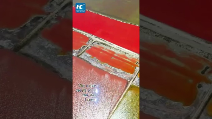 Cina: scopriamo il colorato lago salato di Yuncheng