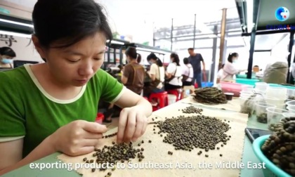 Cina: scopriamo il seducente aroma dell’agarwood