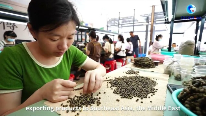 Cina: scopriamo il seducente aroma dell’agarwood