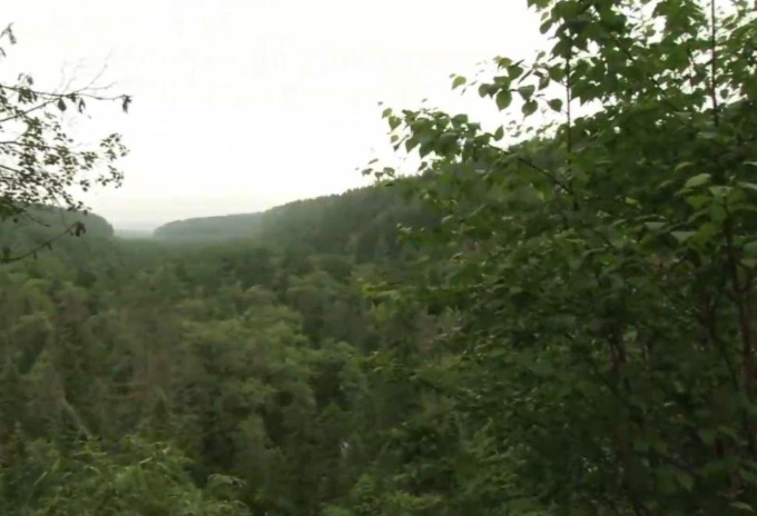 Un raro spettacolo ecologico di proliferazione di farfalle è stato osservato in una valle fluviale nella contea di Yuanjiang, nella provincia cinese sud-occidentale dello Yunnan